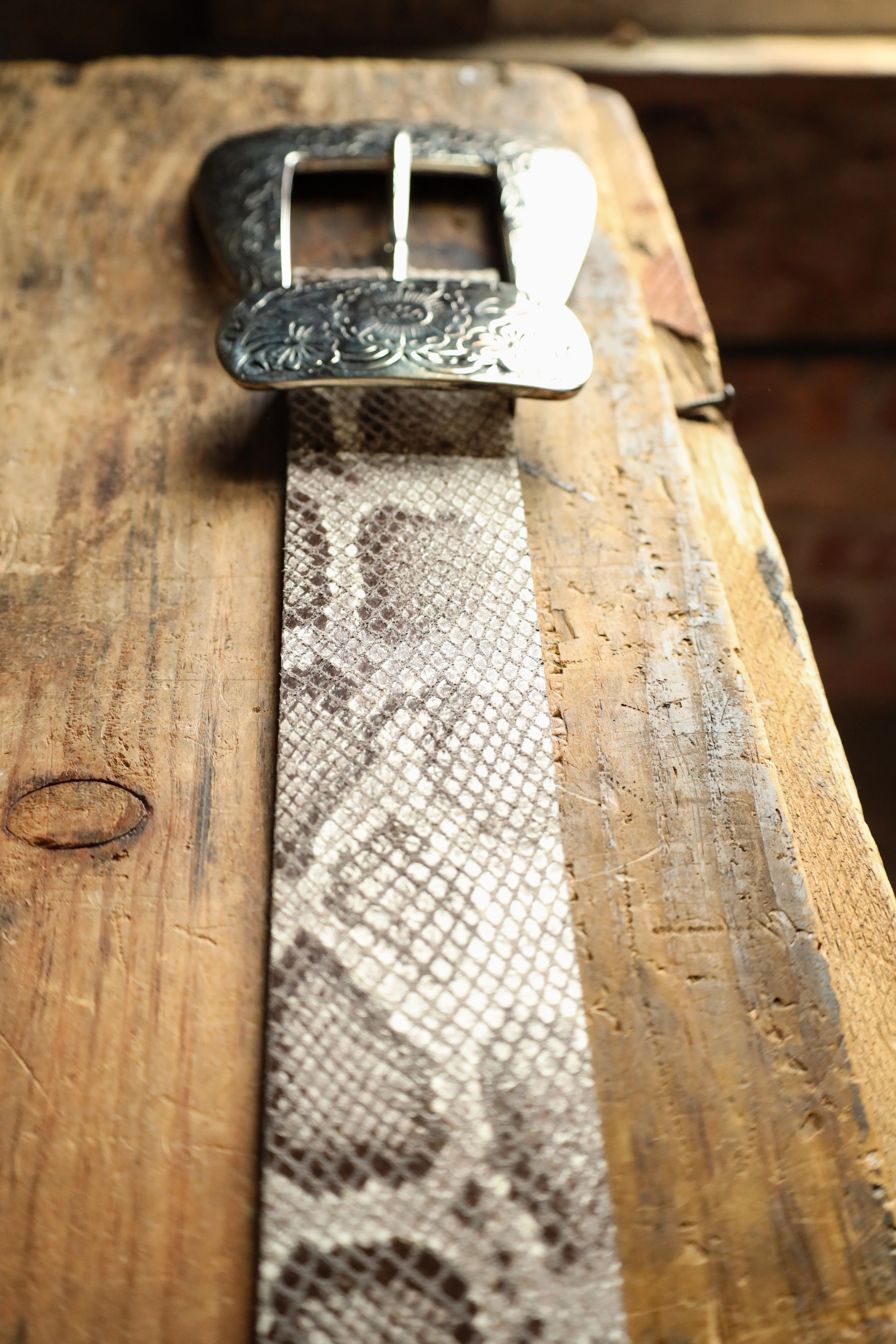 STREETS AHEAD BIG BUCKLE BELT- PYTHON - Image 3