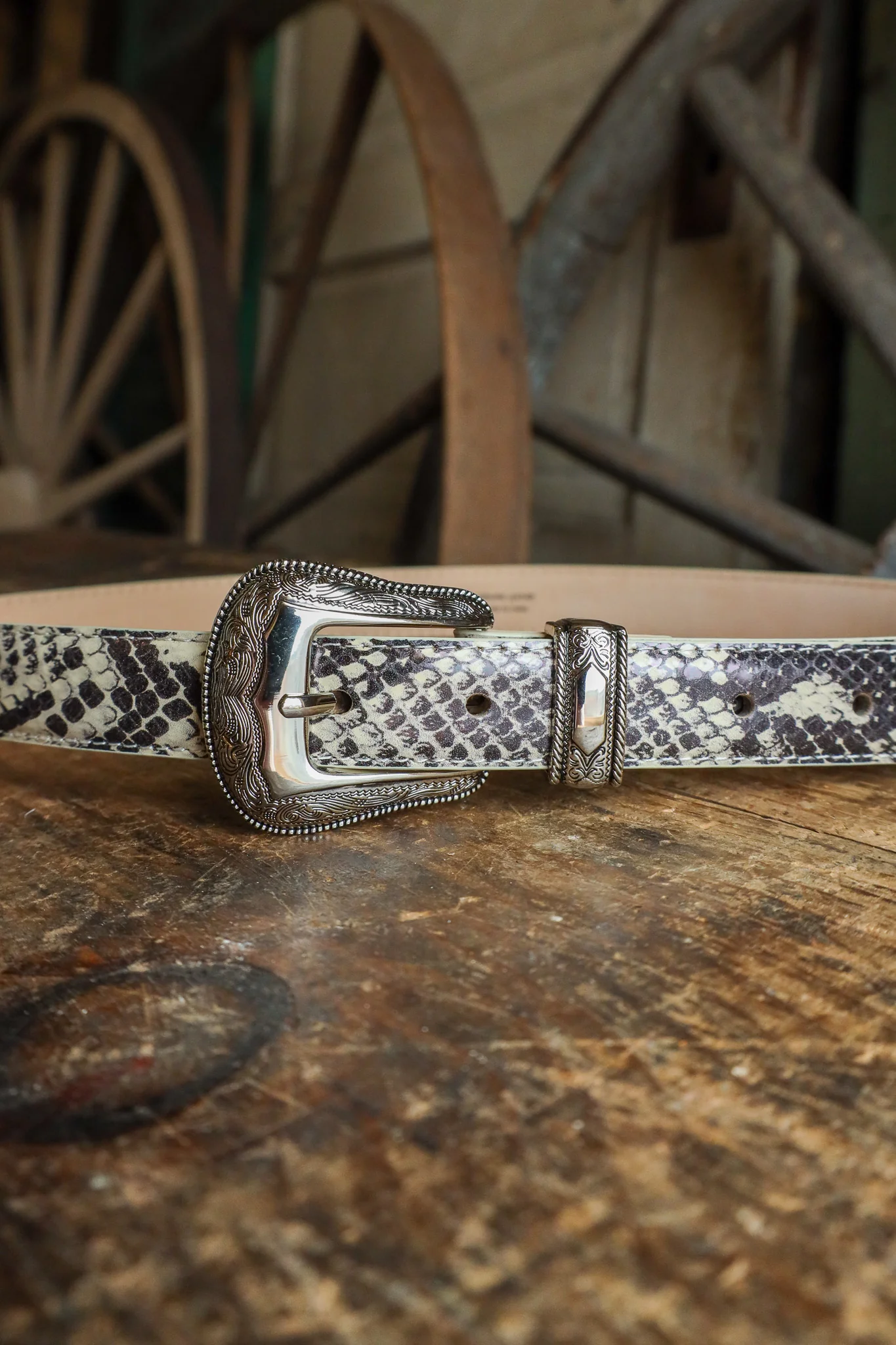 Maverick Exclusive Laurel and Gold Westlake Belt- Snake - Image 5