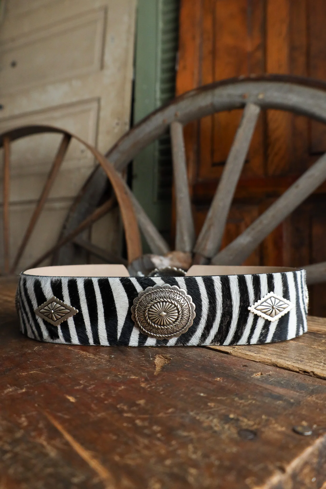 Streets Ahead Zebra With Turquoise Conchos Belt - Image 10