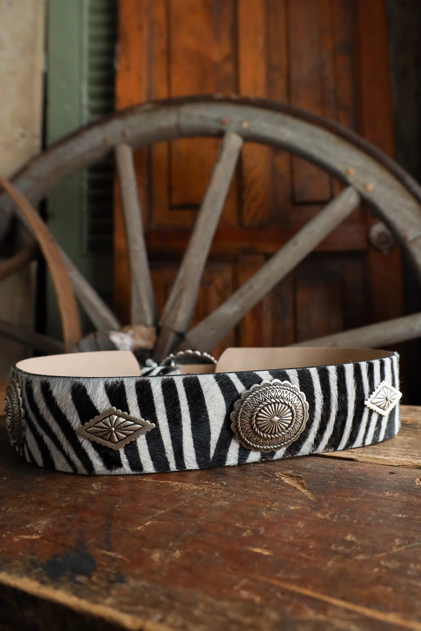 Streets Ahead Zebra With Turquoise Conchos Belt - Image 11