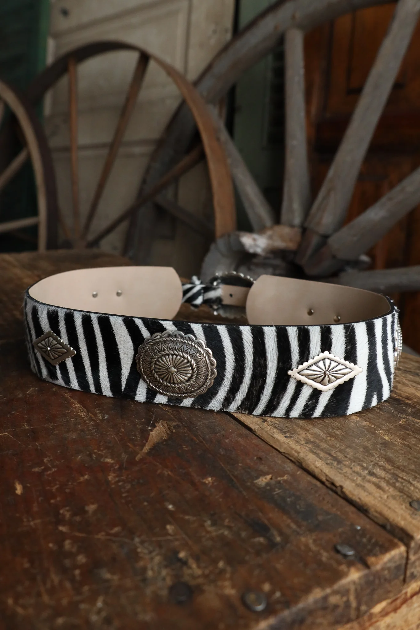 Streets Ahead Zebra With Turquoise Conchos Belt - Image 12