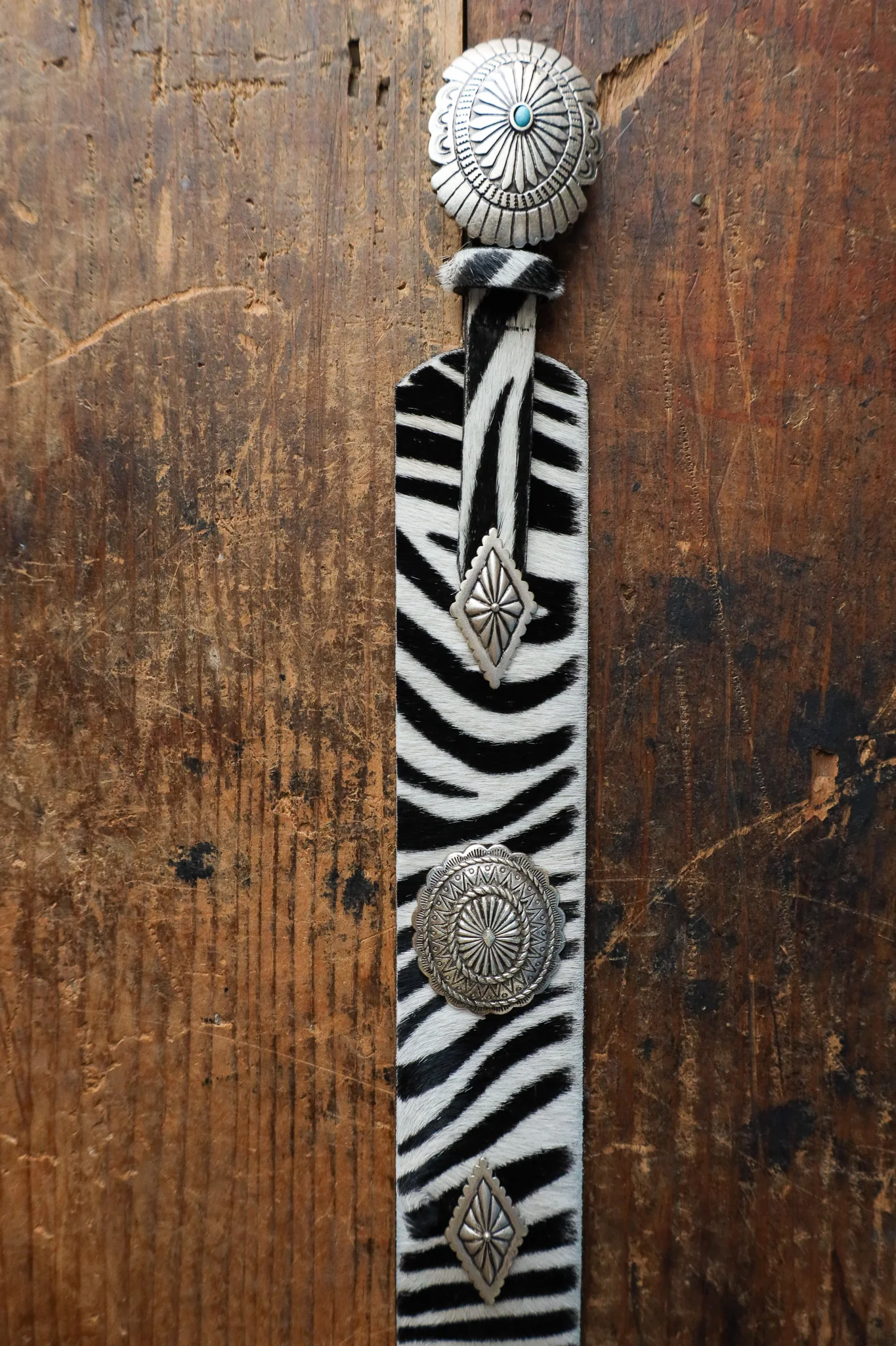 Streets Ahead Zebra With Turquoise Conchos Belt - Image 3