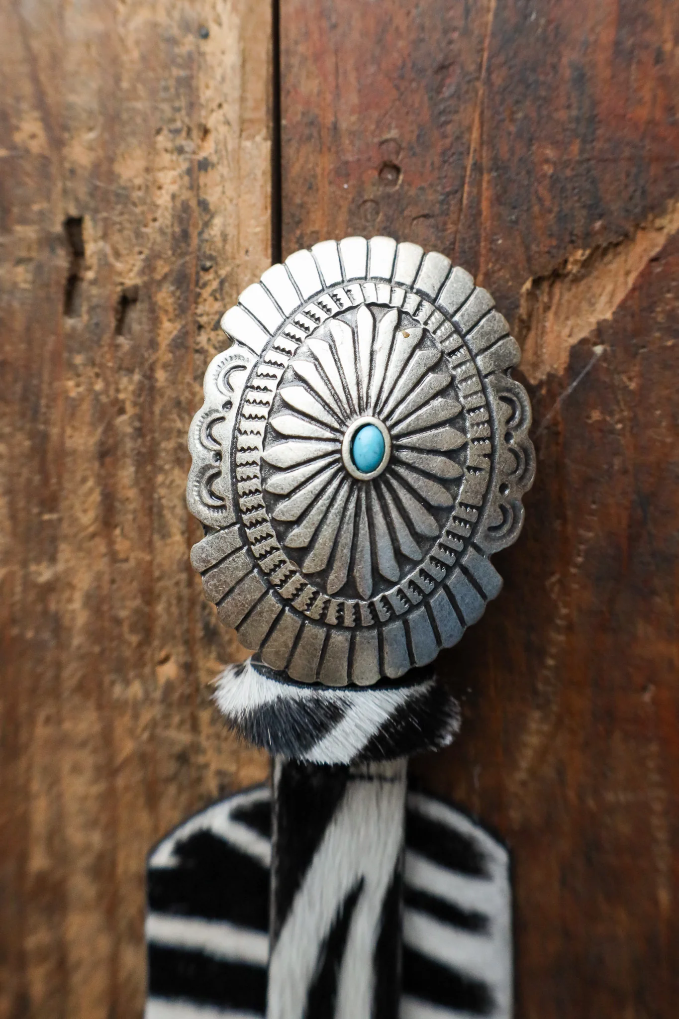 Streets Ahead Zebra With Turquoise Conchos Belt - Image 4