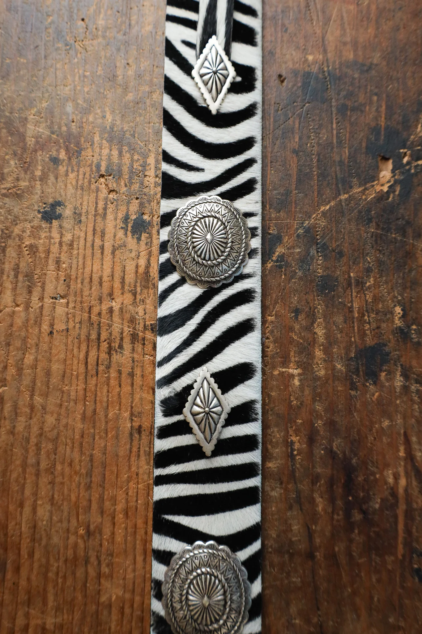 Streets Ahead Zebra With Turquoise Conchos Belt - Image 5