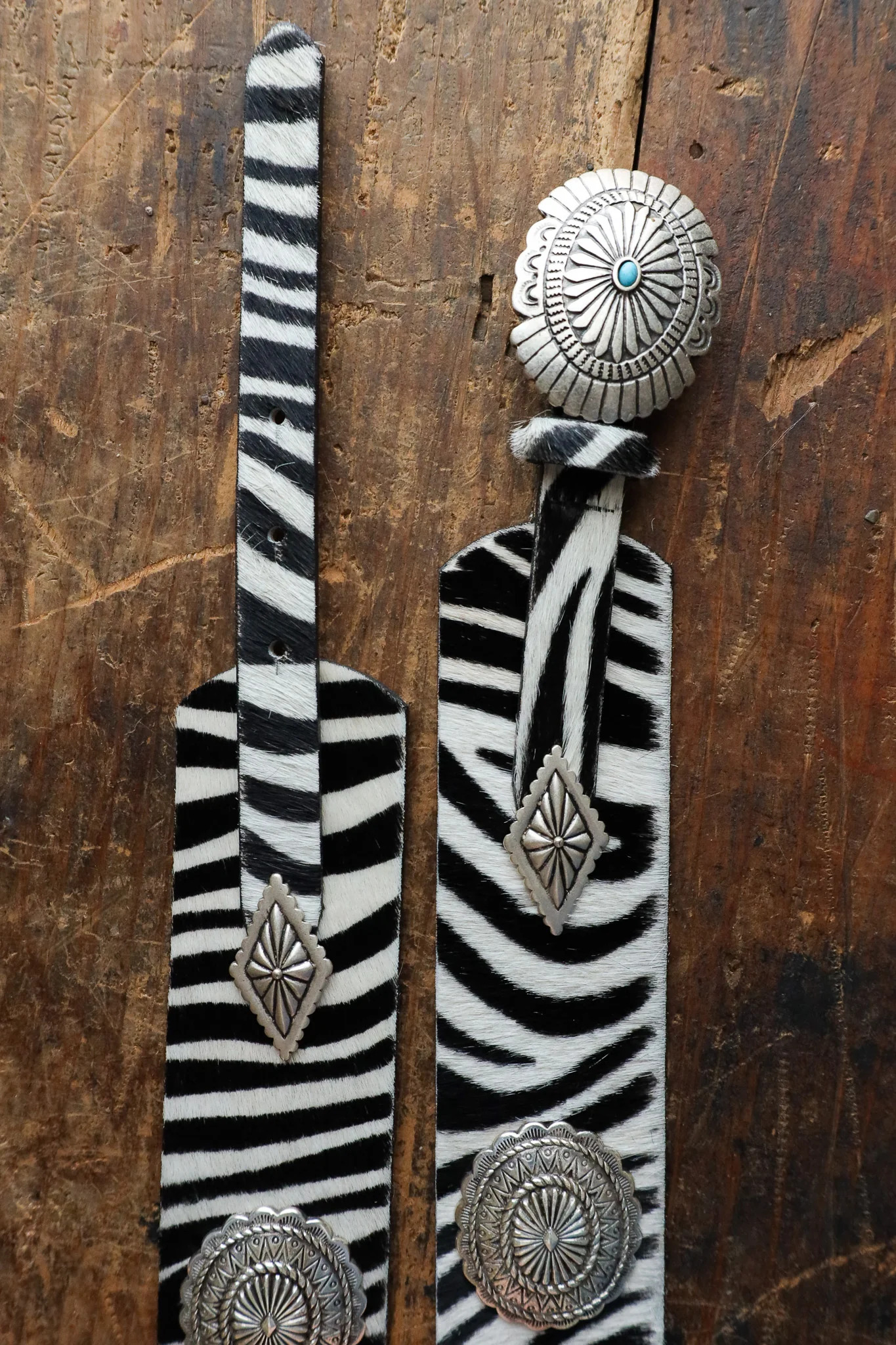 Streets Ahead Zebra With Turquoise Conchos Belt - Image 6