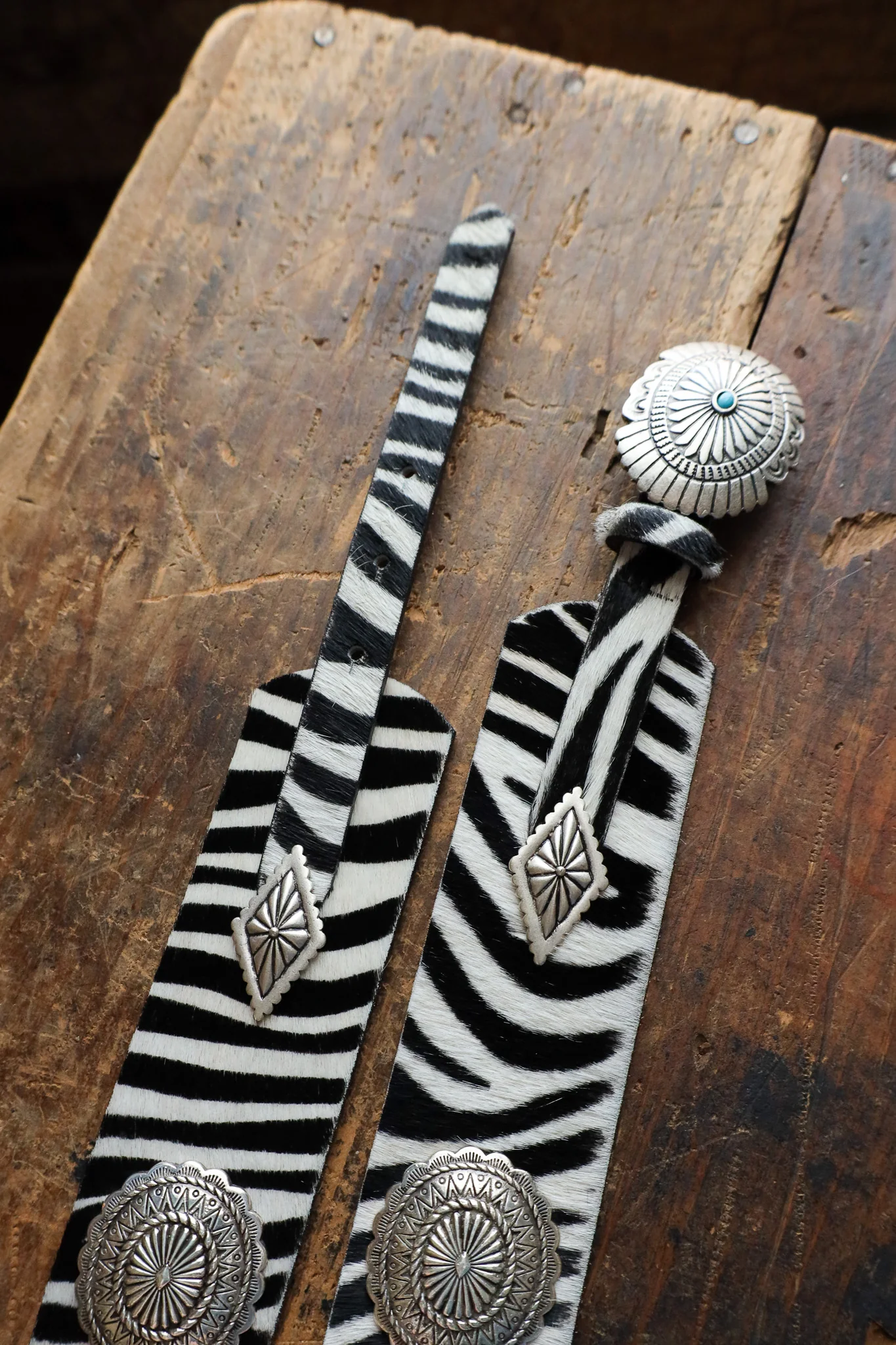 Streets Ahead Zebra With Turquoise Conchos Belt - Image 7