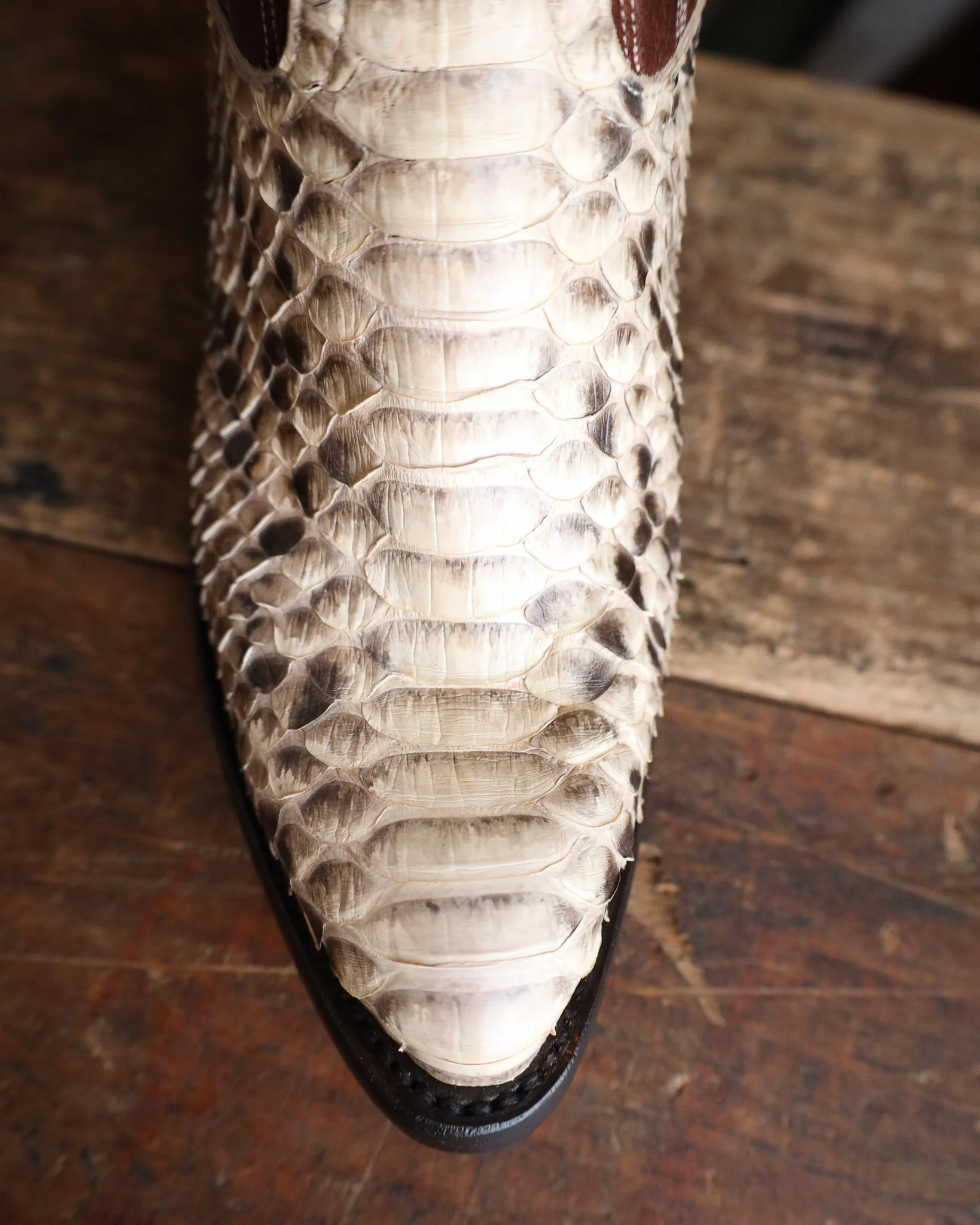 Macie Bean Women's Python Back Cut 15" Boot - Image 4