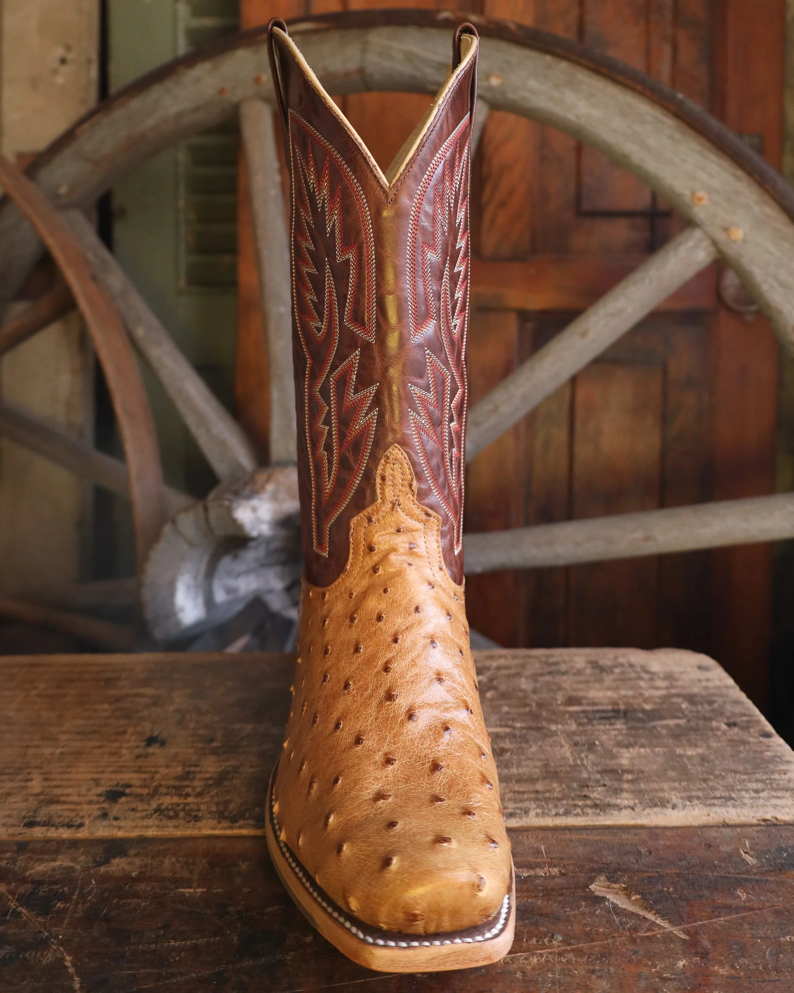 Horse Power Men's Antique Saddle Ostrich 13" Boot - Image 3