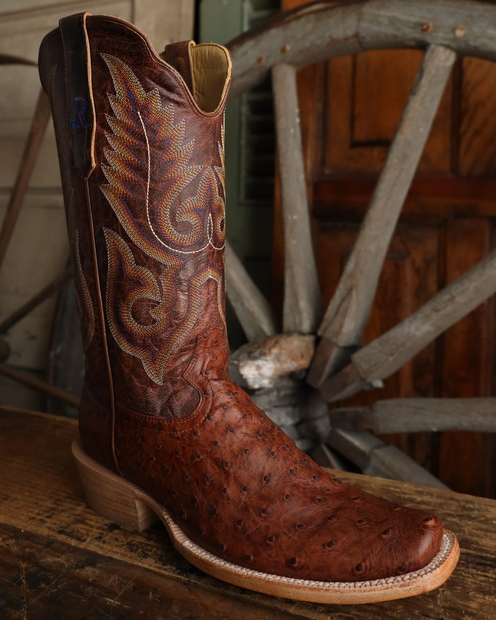 R. Watson Full Quill Ostrich Narrow Square Brass 13" Boot - Image 2