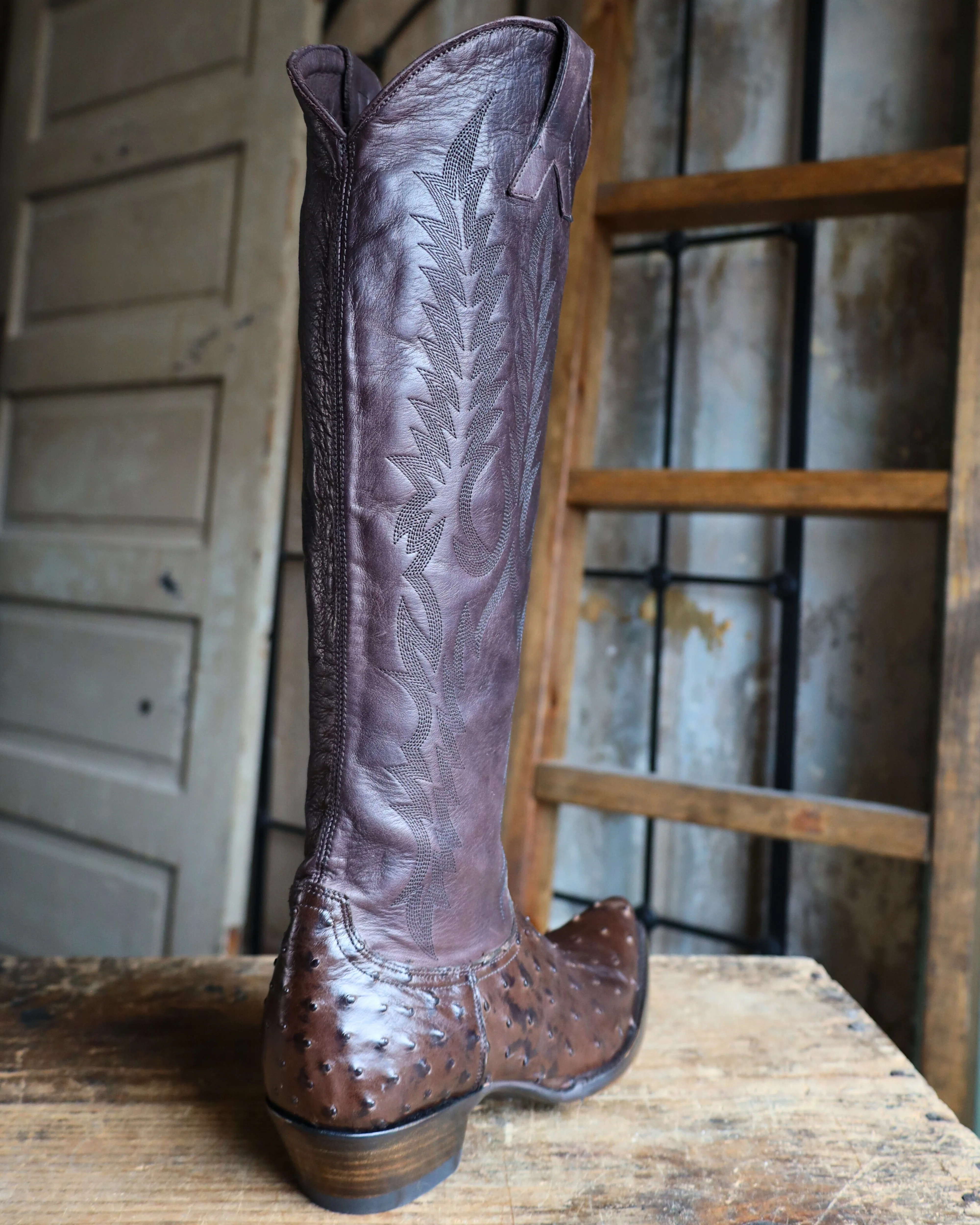 OLD GRINGO WOMEN'S MAYRA OSTRICH 18" BOOT- CHOCOLATE - Image 6