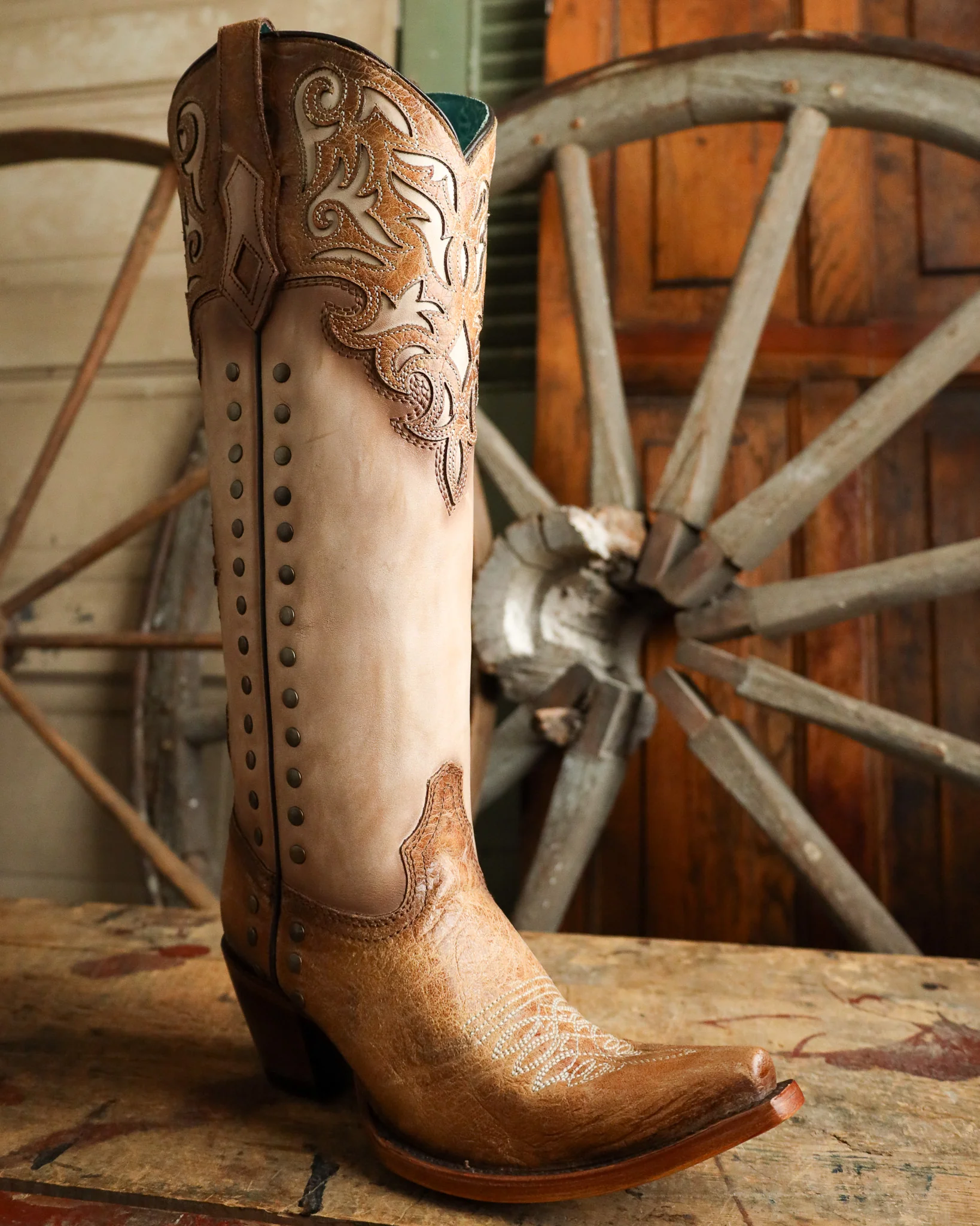 Corral Women's Tall Overlay Embroidery and Stud 15" Boot - Image 2