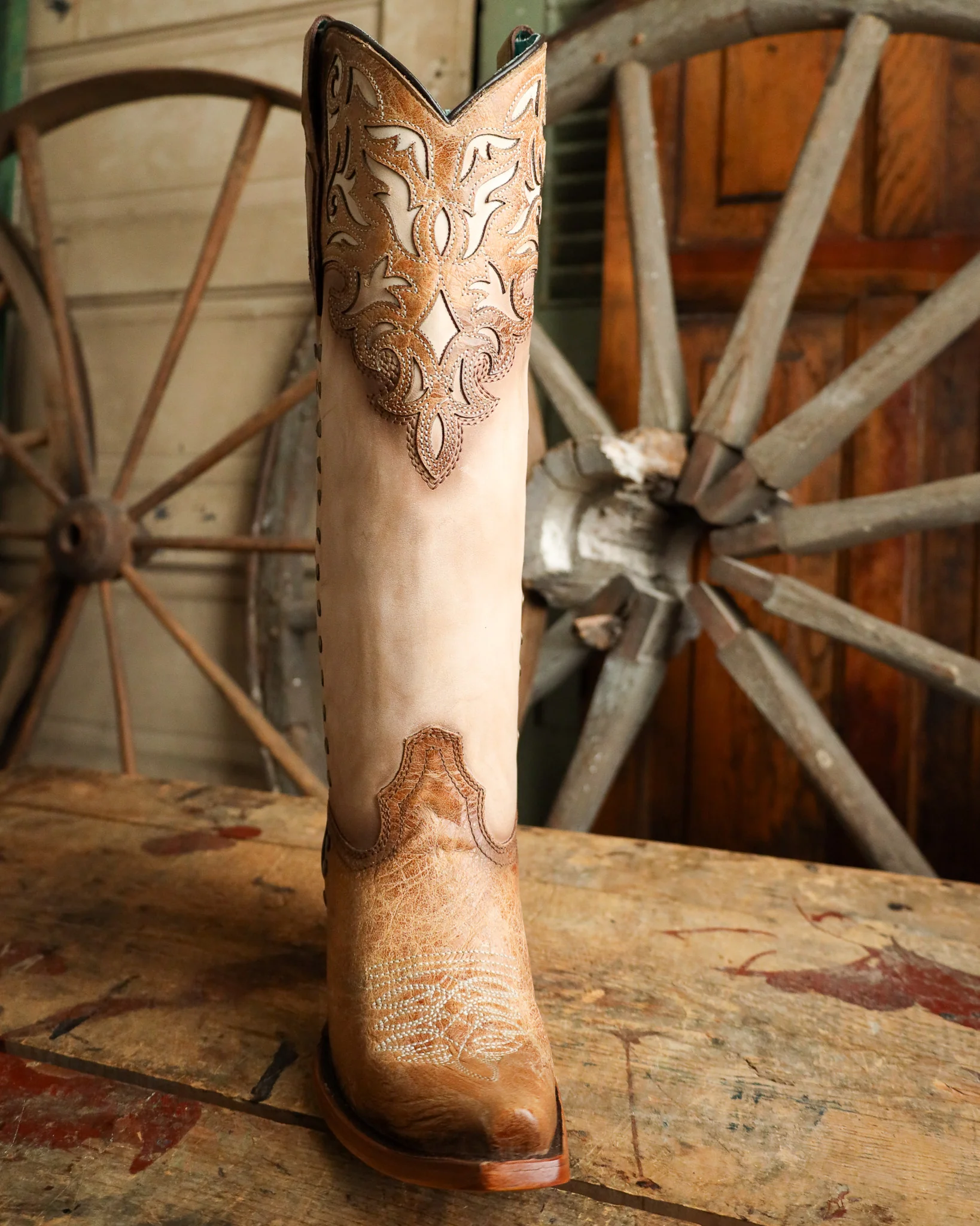 Corral Women's Tall Overlay Embroidery and Stud 15" Boot - Image 3