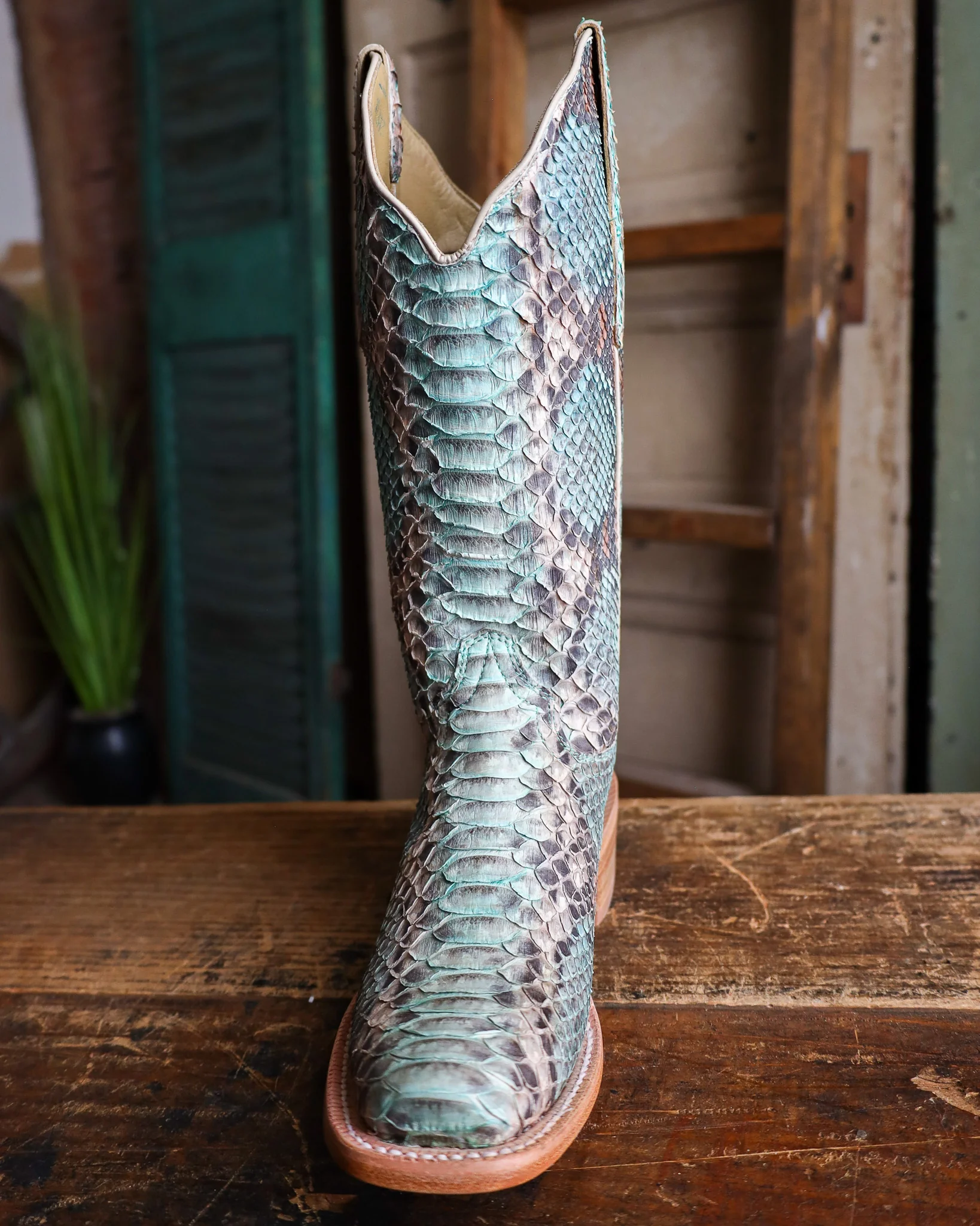 R. WATSON WOMEN'S TEAL AND COPPER PYTHON 14" BOOT - Image 3
