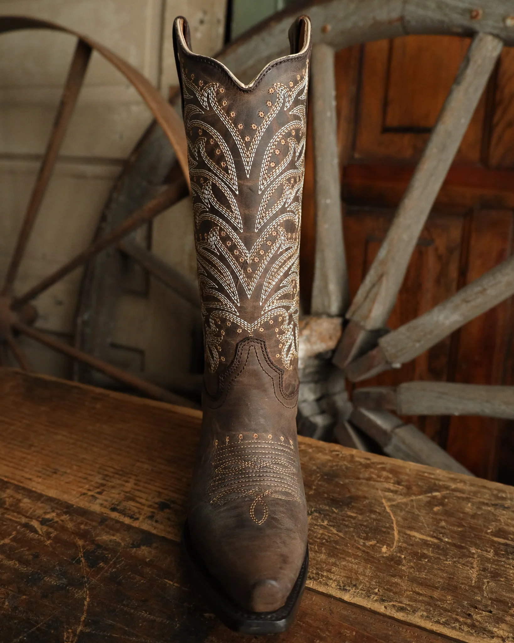 Circle G By Corral Women's Traid Embroidery 13" Boot - Image 3