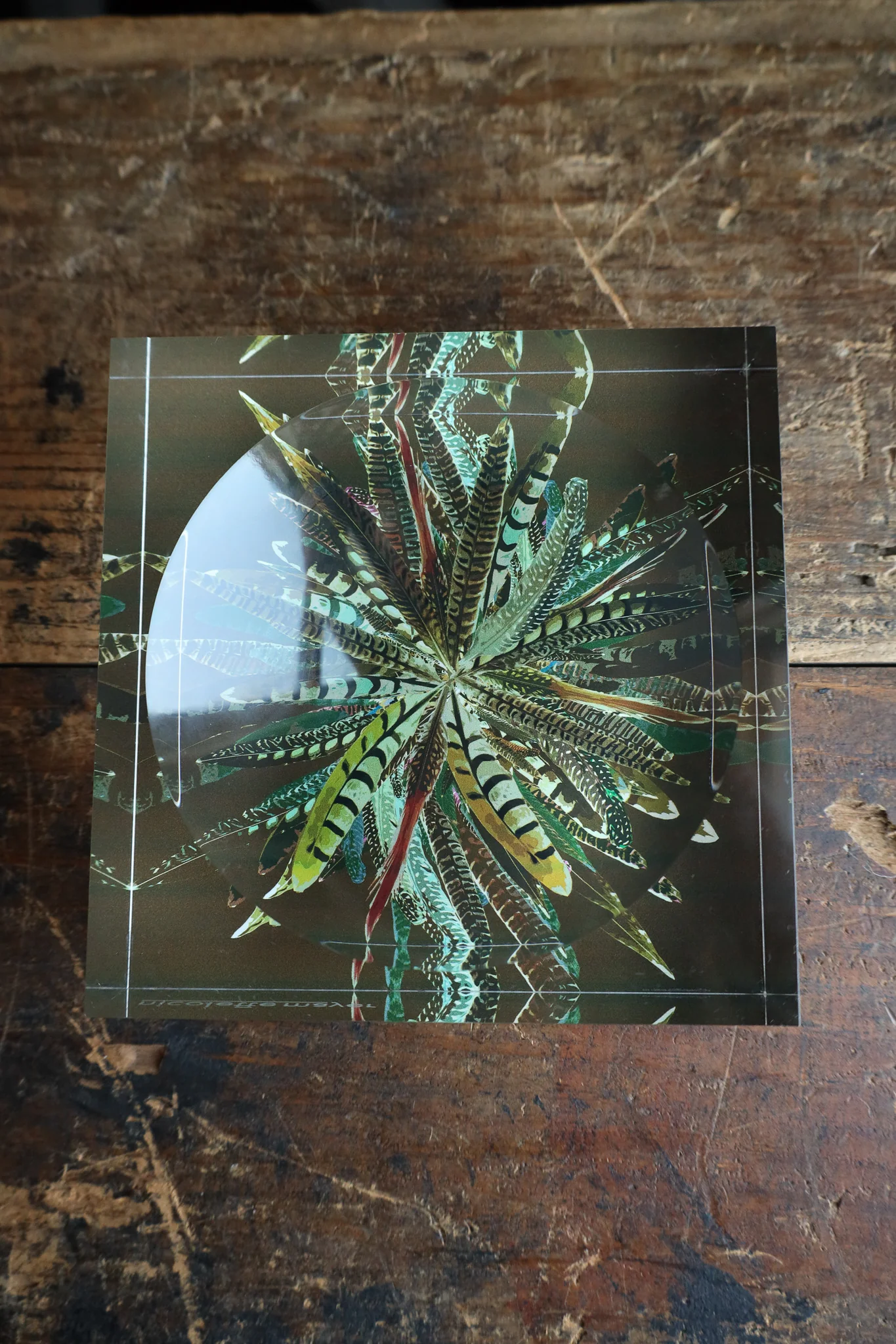Nicolette Mayer Collection Pheasant Feathers Acrylic Candy Catchall Dish - Image 3