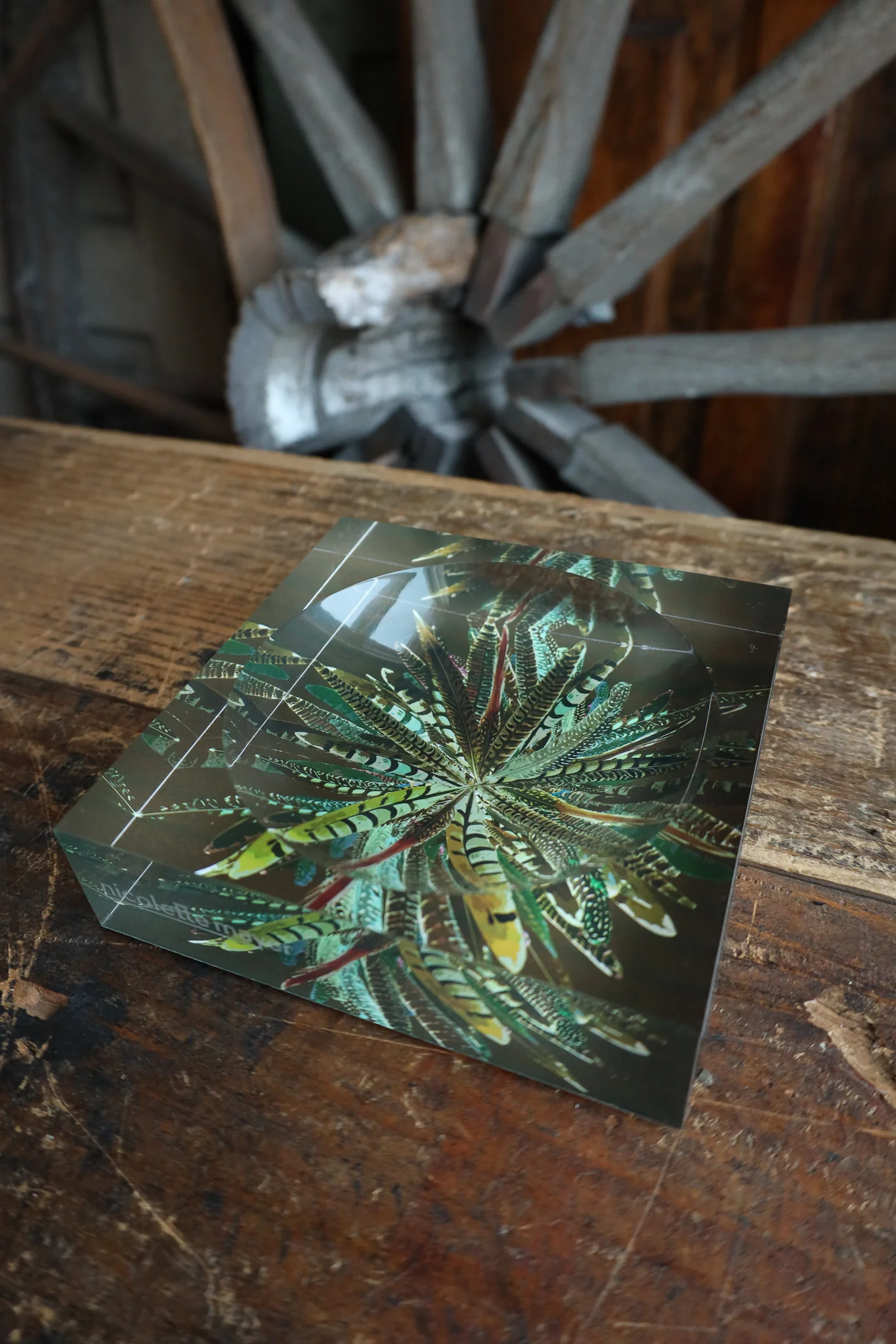 Nicolette Mayer Collection Pheasant Feathers Acrylic Candy Catchall Dish - Image 4