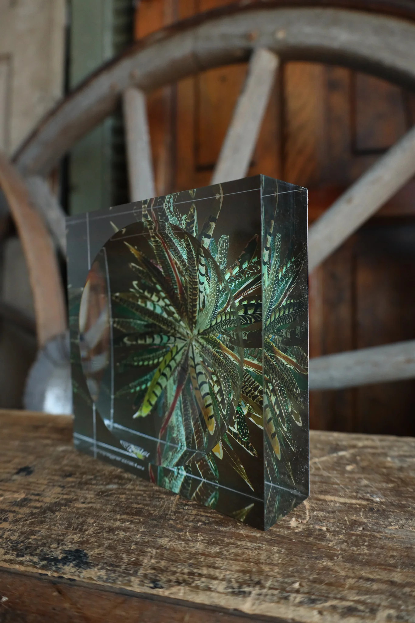 Nicolette Mayer Collection Pheasant Feathers Acrylic Candy Catchall Dish - Image 5