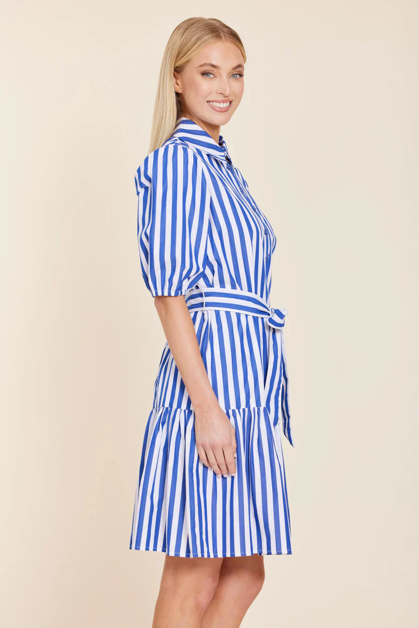Dolce Cabo Awning Stripe Dress - Image 4