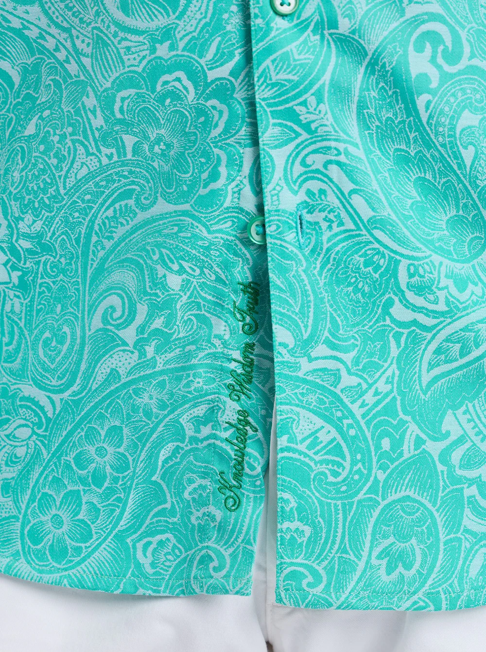 HUDSON SHORT SLEEVE BUTTON DOWN SHIRT - Image 3