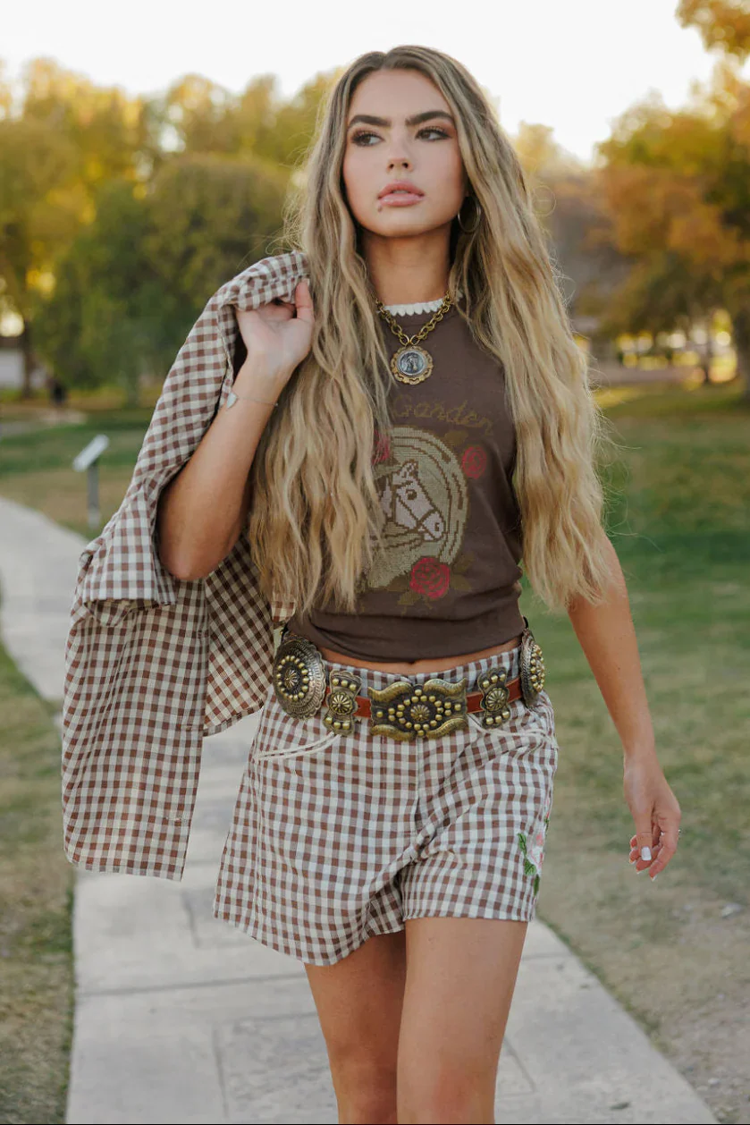 Rodeo Quincy Gingham Rodeo Shorts - Image 4